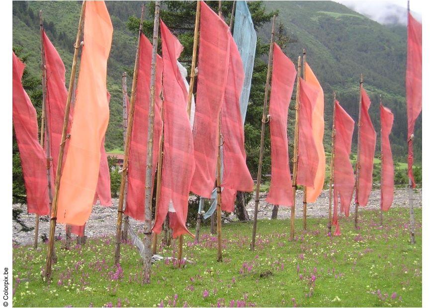 prayer flags Photo prayer flags