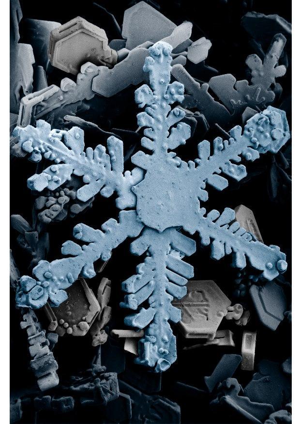 snowflake Photo snowflake