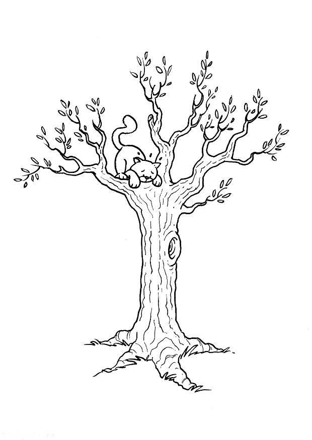 cat in tree Coloring page cat in tree