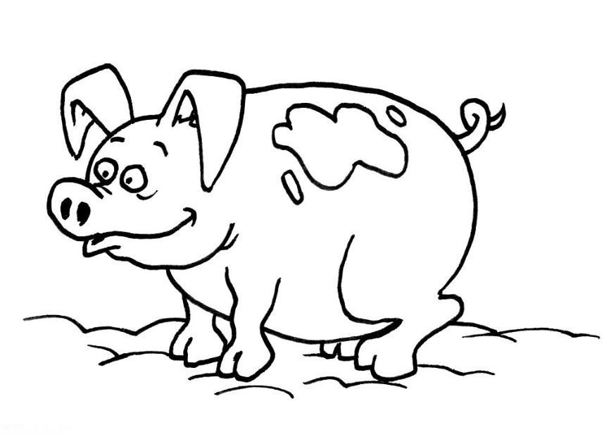 Coloring page pig