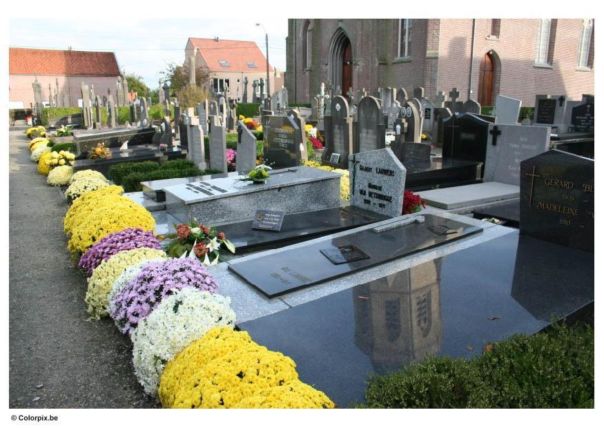 flowers in graveyard Photo flowers in graveyard