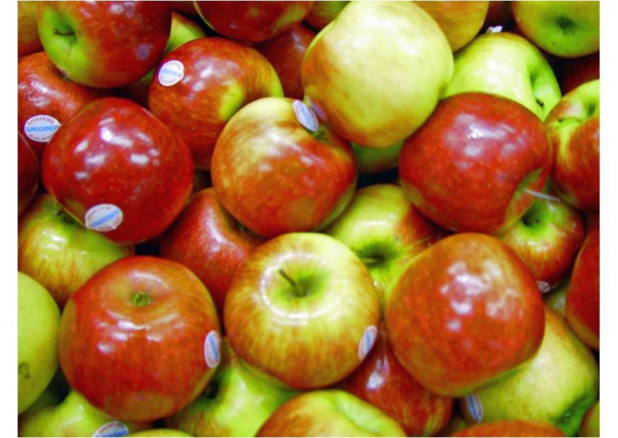 apples Photo apples