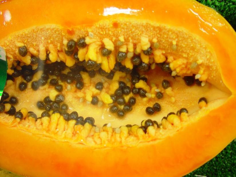 papaya Photo papaya