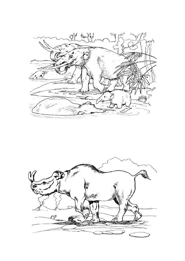 Coloring page herbavors