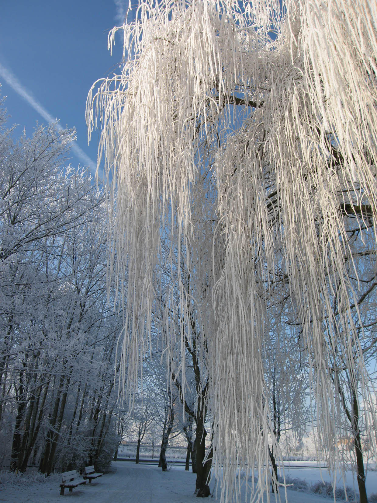 winter 6 Photo winter 6