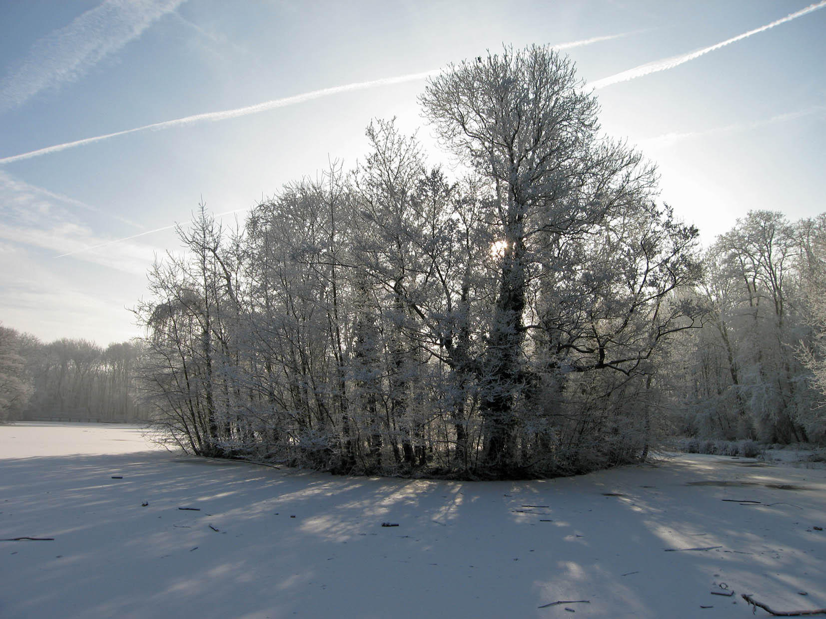 winter Photo winter