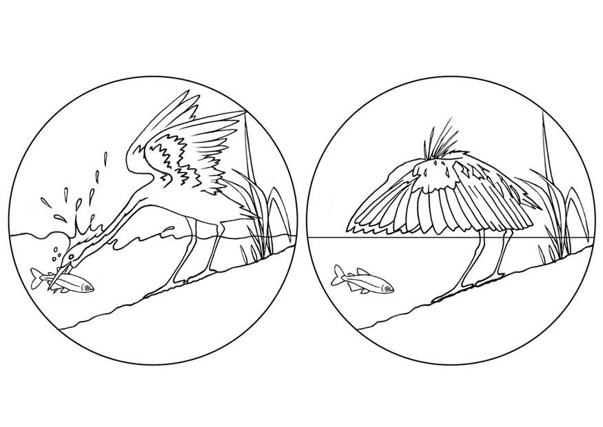 Coloring page egret fishing