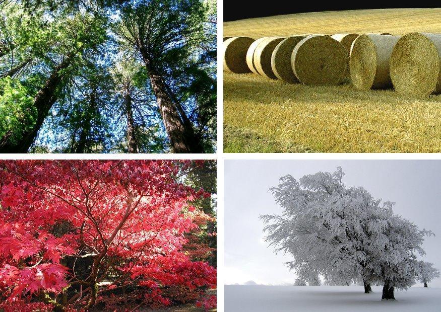 4 seasons Photo 4 seasons