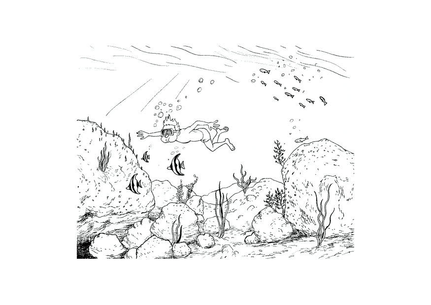 swimming under water Coloring page swimming under water