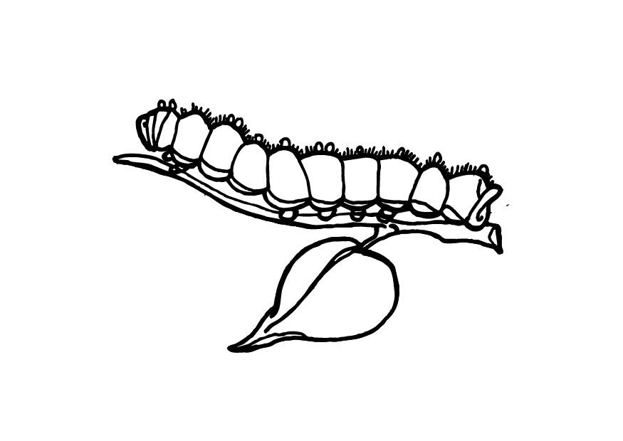 Coloring page caterpillar