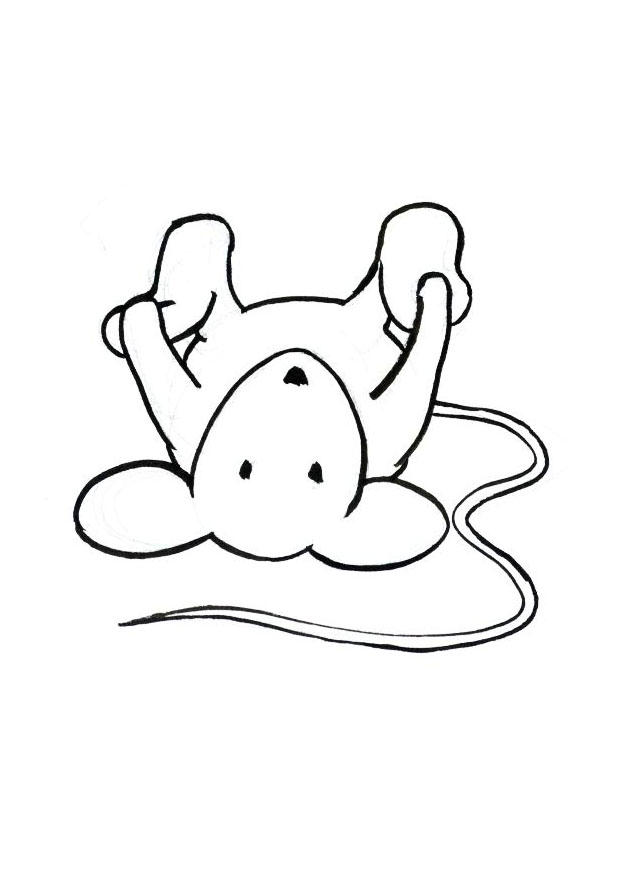 Coloring page transi