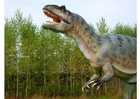 Allosaur replica