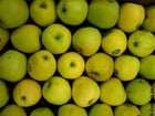 Photo apples