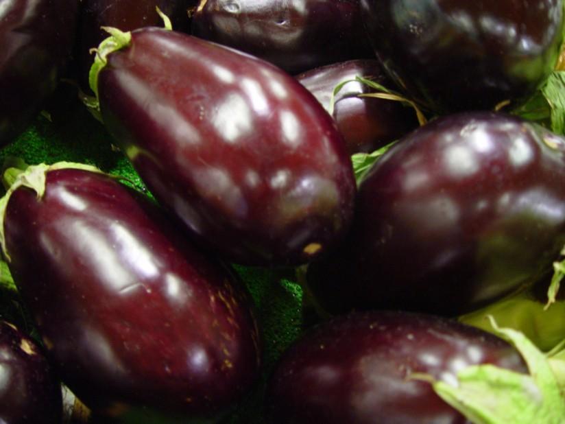 Photo aubergine - eggplant