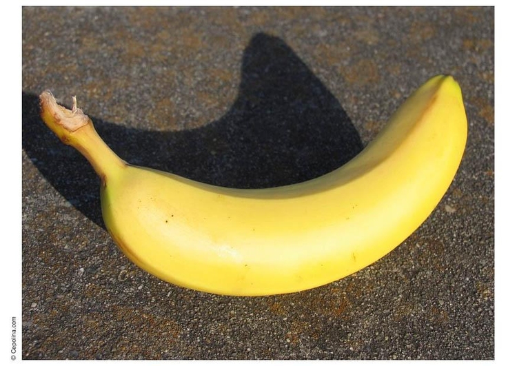 Photo banana