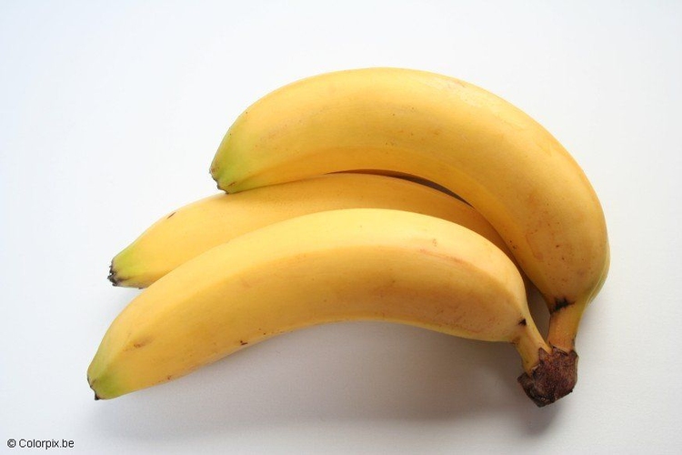 Photo bananas