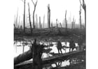 Photos battlefield WWI
