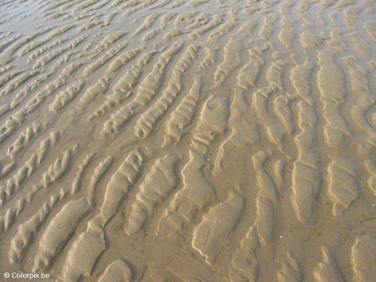 Photo beach 1