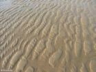photo beach 1
