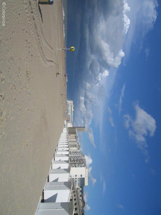 beach with cabins