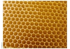 Photos beehive honeycomb