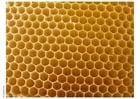 beehive honeycomb