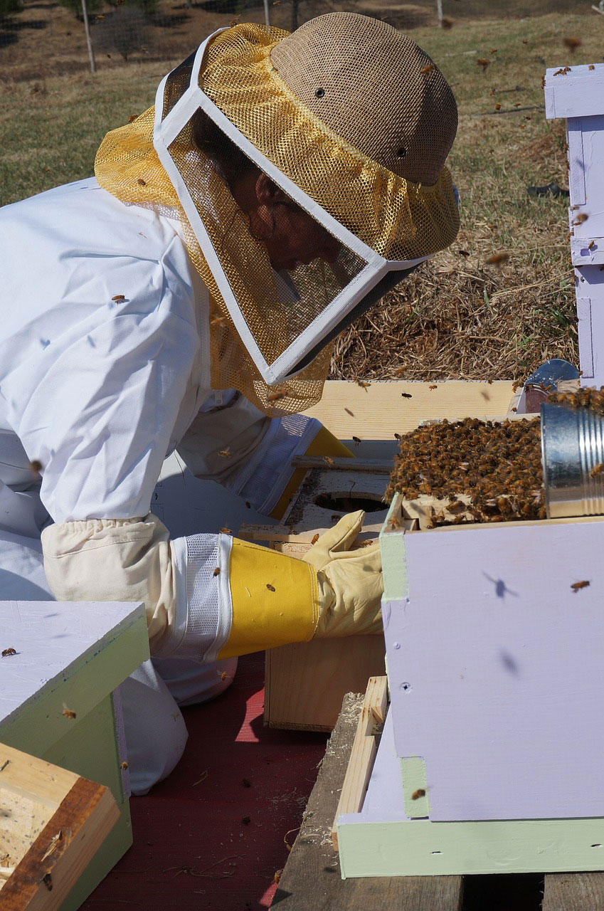 Photo beekeeper