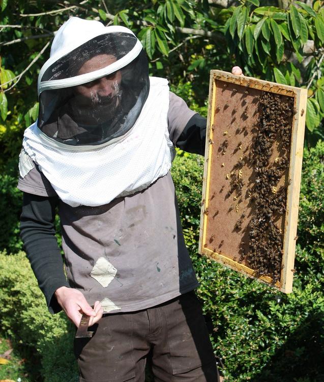 beekeeper