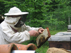 Photo beekeeper