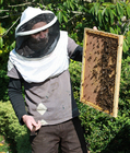 Photo beekeeper