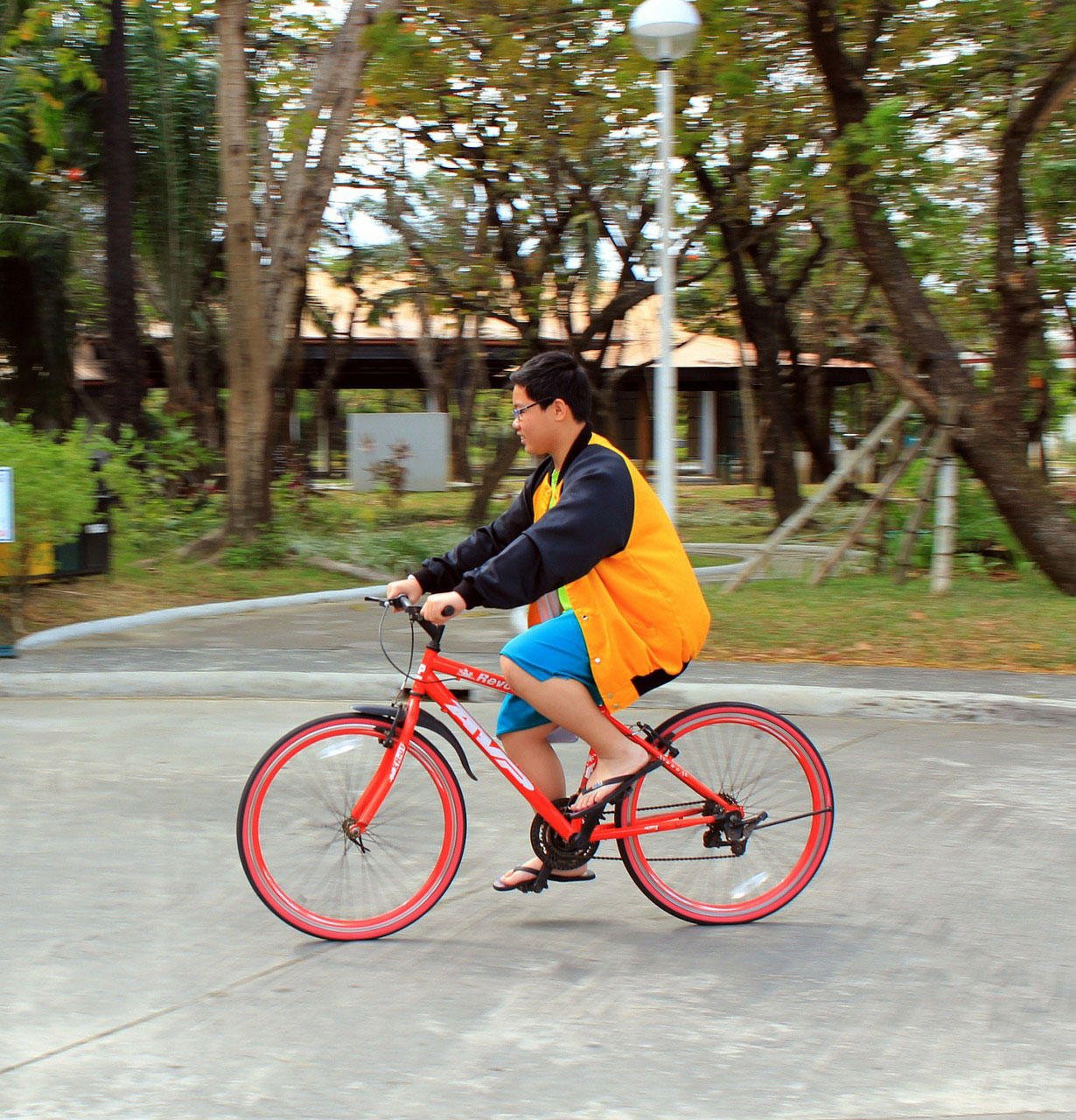Photo bicycle