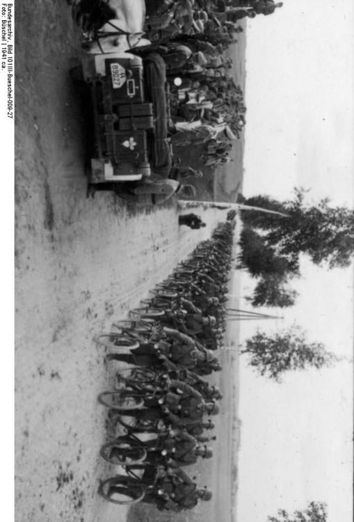 Bueschel - Himmler looks at troops