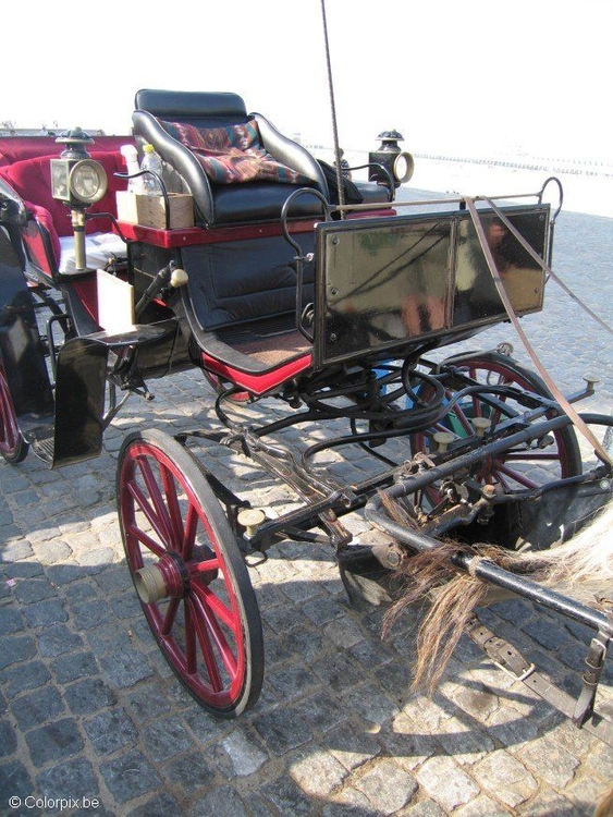 Photo carriage 2