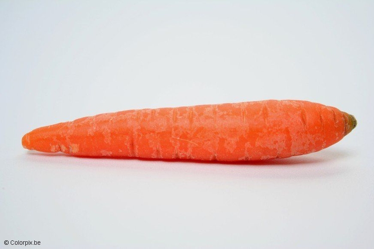 Photo carrot