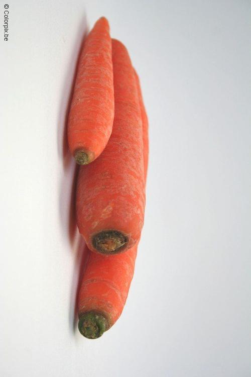carrots