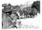 Photo cavalry in France