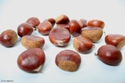 chesnuts