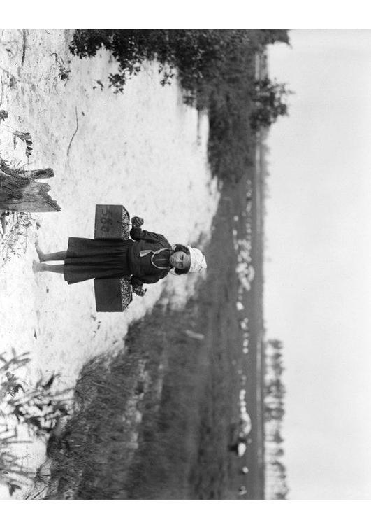 child labour 1910