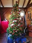 Photos Christmas tree