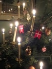 Photo Christmas Tree with candles