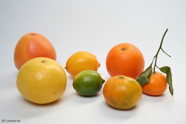 Photo citrus fruit