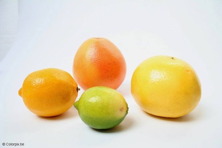 Photo citrus fruit