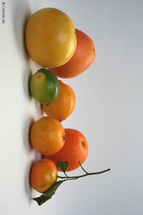 citrus fruit