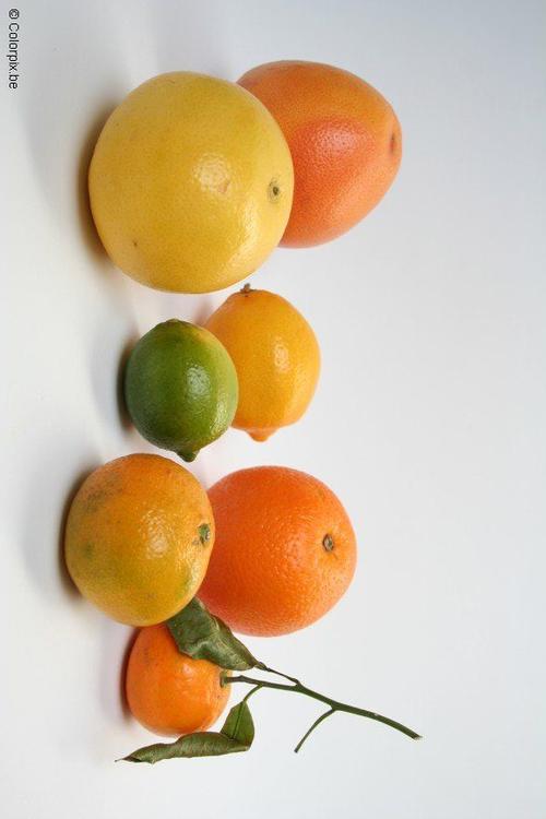 citrus fruit