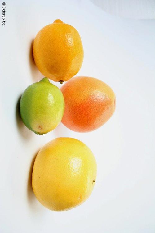 citrus fruit