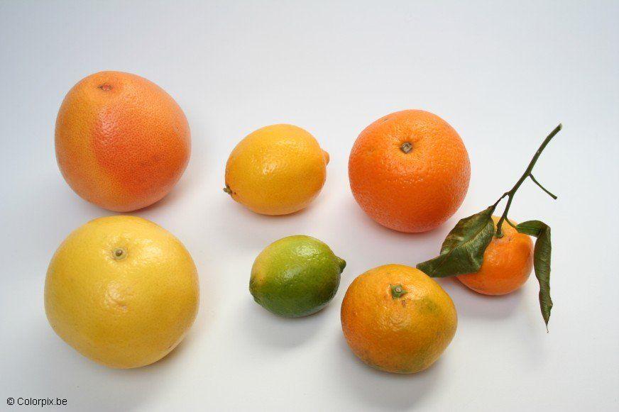 Photo citrus fruits