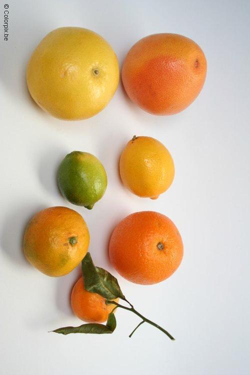 citrus fruits