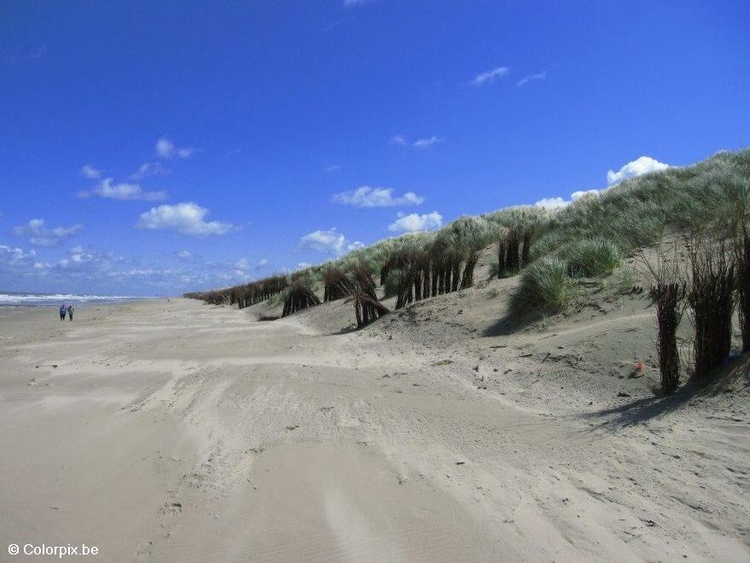 Photo coast beach dunes