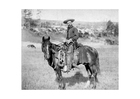 Photo cowboy,around 1887