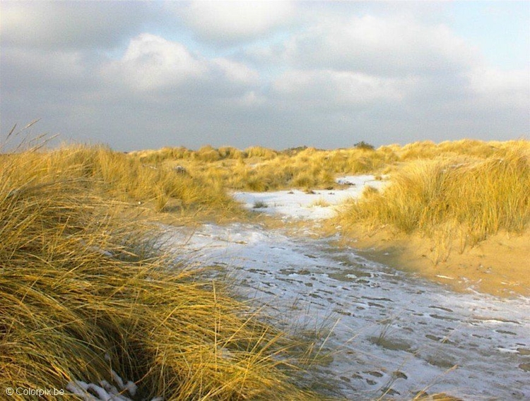 Photo dunes 4